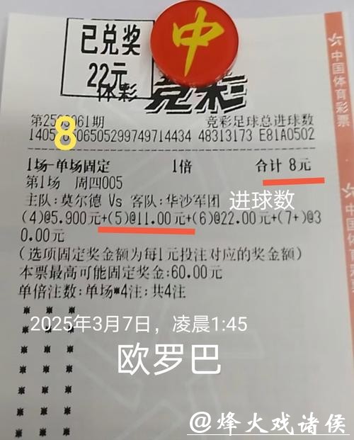 世界杯投注经典案例与成功策略